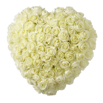 White Rose Heart