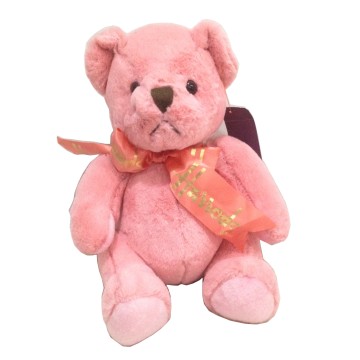 Soft Toy - Pink Teddy (Medium)