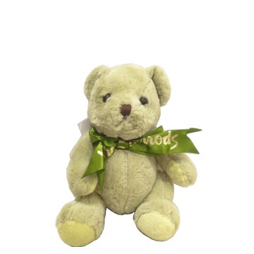 Soft Toy - Green Teddy (Small)