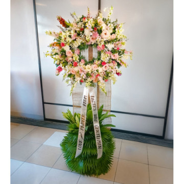 Serenata Bloom