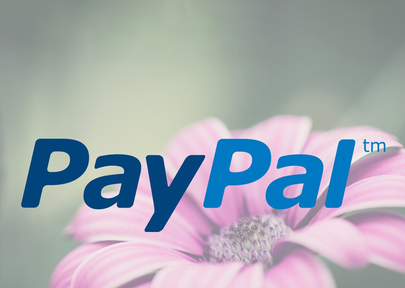 PayPal Payment Issue Resolved